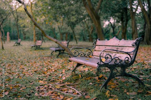 park
