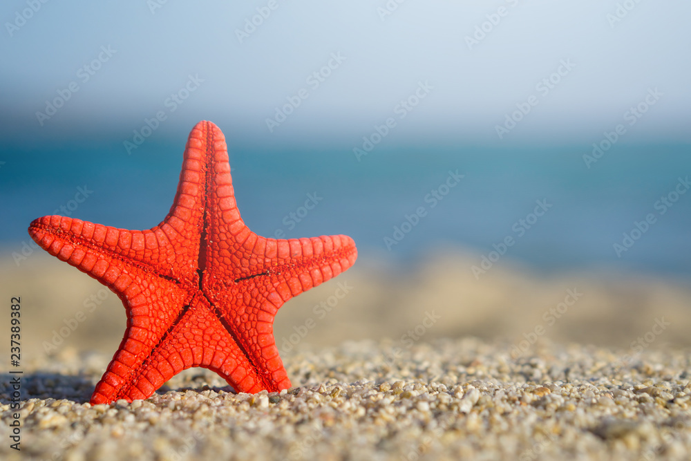 Red starfish pinned on sand at the beach. Blue sea on background Red starfish pinned on sand at the beach. Blue sea on background