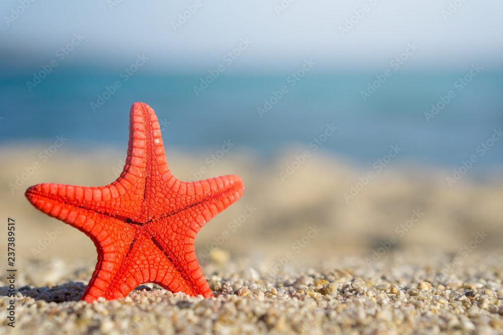 Red starfish pinned on sand at the beach. Blue sea on background Red starfish pinned on sand at the beach. Blue sea on background