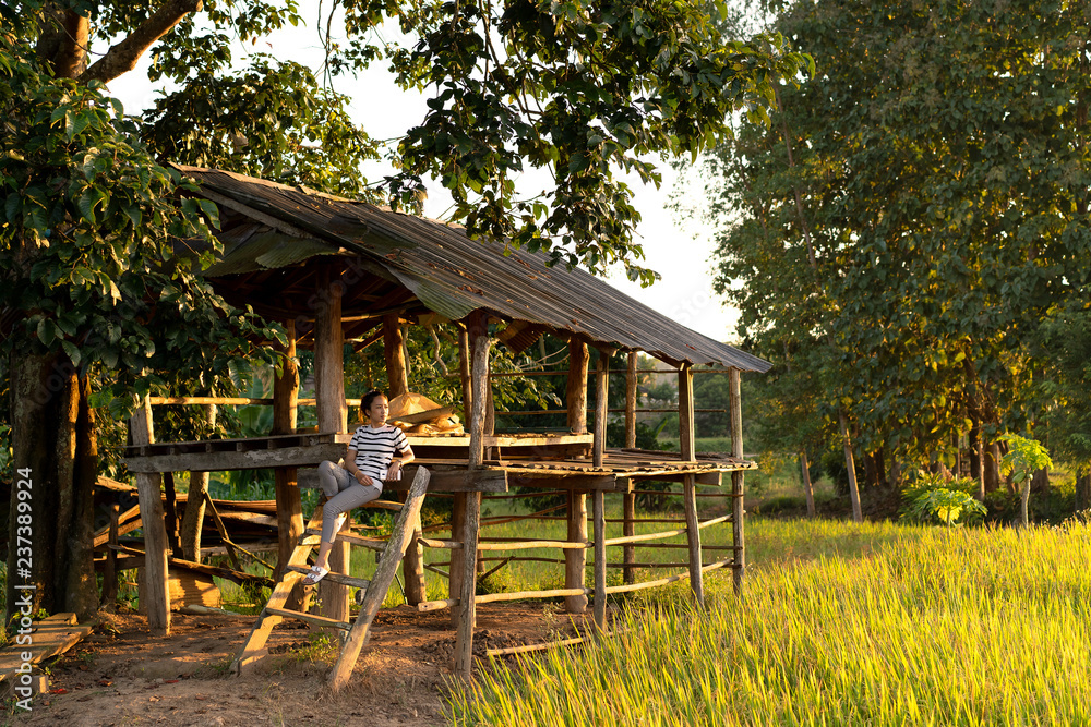woman in the field rice  by sit on the cottage in the relaxing with sunset light