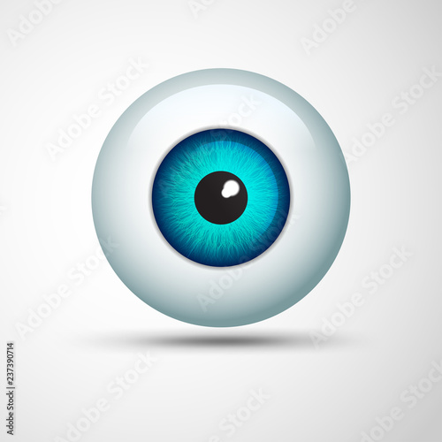 vector of realistic eye ball in green-blue tone