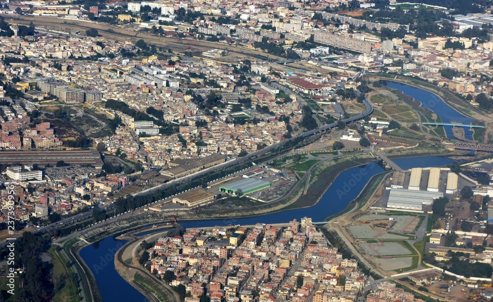 Fototapeta premium alger