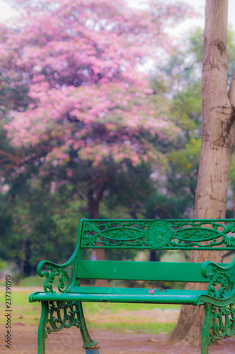 bench