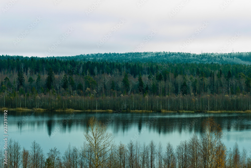 autumn landscape of forest lake in cloudy weather