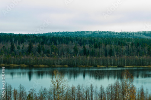 autumn landscape of forest lake in cloudy weather © Alexey