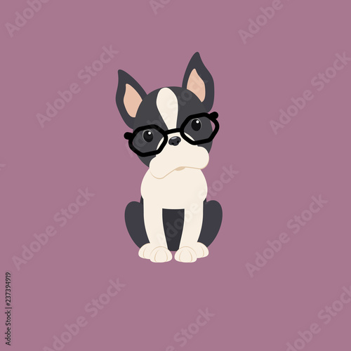 Vector dog breed Boston Terrier with glasses