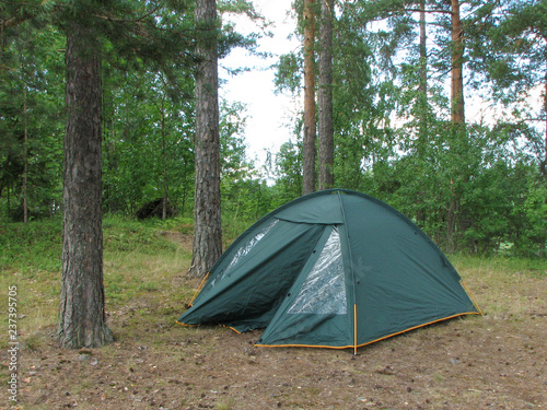 An opened dark green camping tent stands in a forest on a summer day.