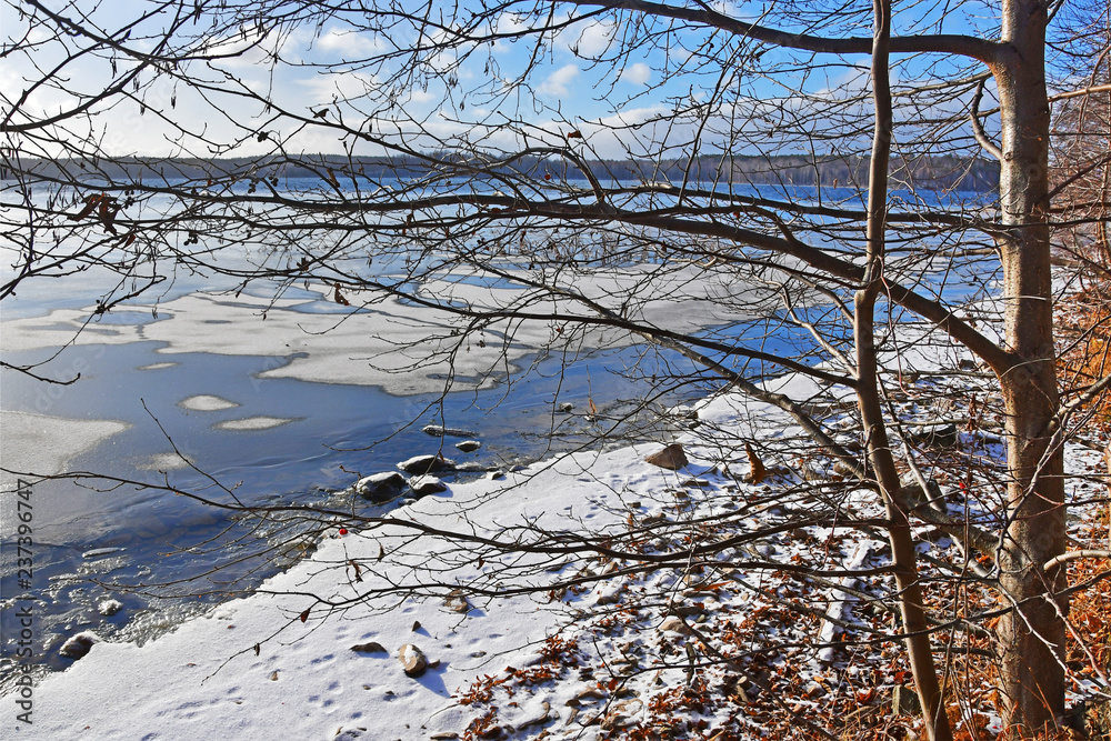 Obraz premium Nature monument - lake Uvildy in november in cloudy day, South Ural, Chelyabinsk region, Russia