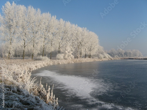 a wonderful white winter landscape with a row of white trees with hoar frost next to natural ice at a frozen pool photo