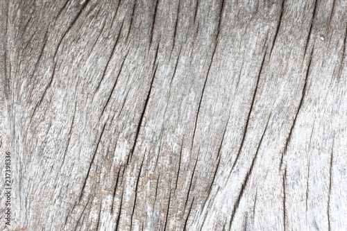 Old wood background White and brown