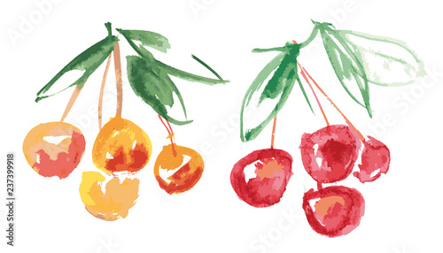 fresh red and yellow cherry...