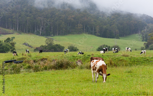 Australia Tasmania