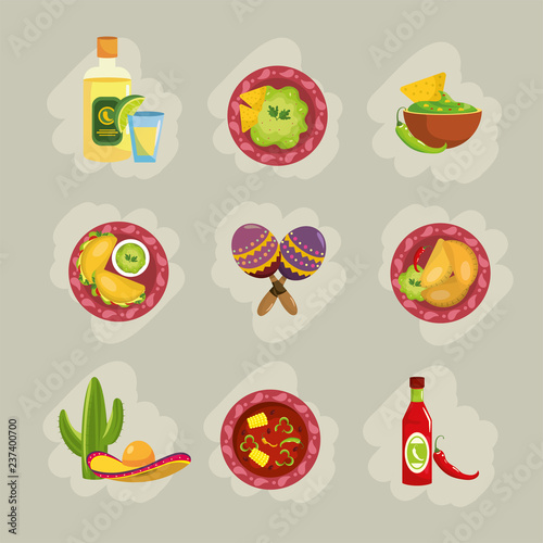 set traditional mexican food with sauces and avocado