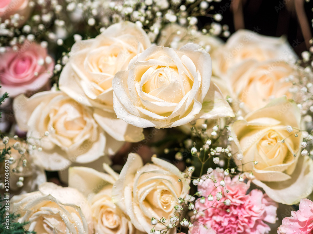 rose flowers decorations in love valentine day rose flowers decorations in love valentine day