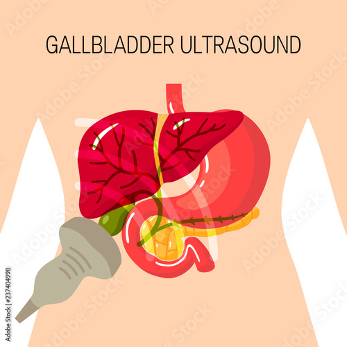 Gallbladder ultrasound vector concept