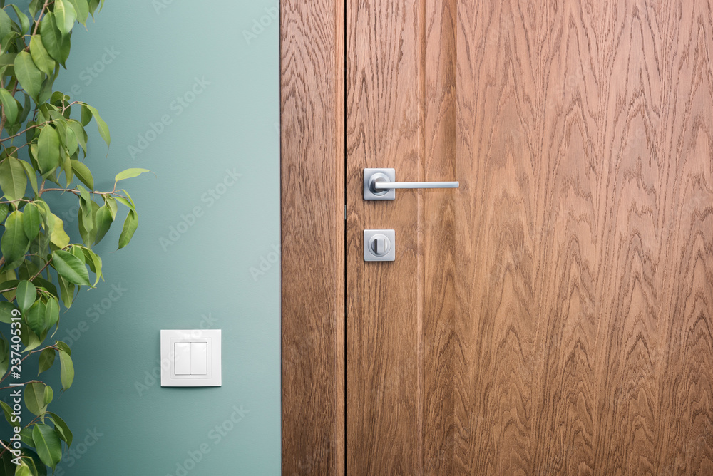 Naklejka premium Close - up elements of the interior of a beautiful apartment. Steel door handle and dark wood