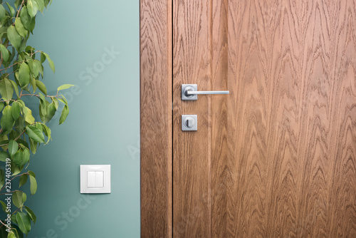 Close - up elements of the interior of a beautiful apartment. Steel door handle and dark wood photo