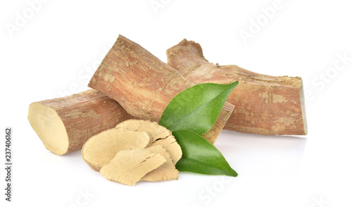  Eurycoma longifolia  on white background.