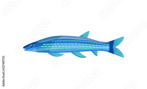 Mackerel of Blue Color Fish Vector Illustration
