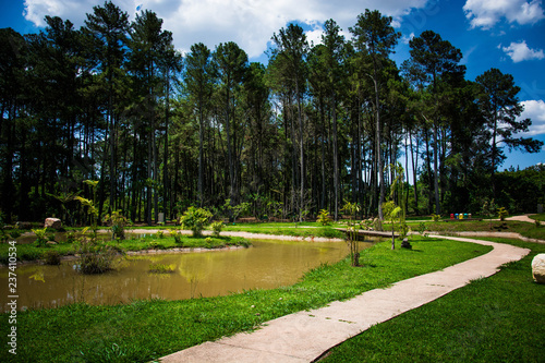 Botanical garden of Brasília in Brazil with trees and flowers