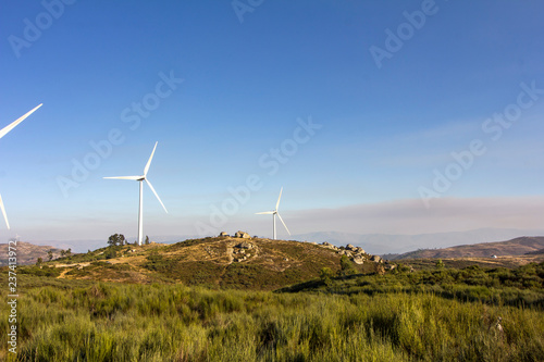 wind turbines in the field