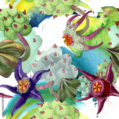 Duvalia flower. Watercolor illustration set. Seamless background pattern. Fabric wallpaper print texture.