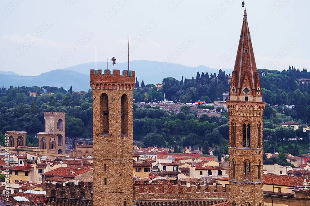 Obraz premium View of the center of Florence from the bell tower of Giotto, Italy