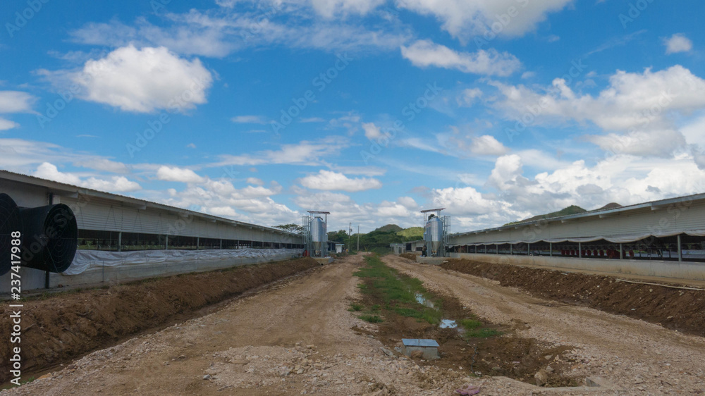 A poultry farmm under cosnstruction showing two complete houses A poultry farmm under cosnstruction showing two complete houses
