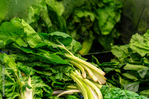 Green chard in the market