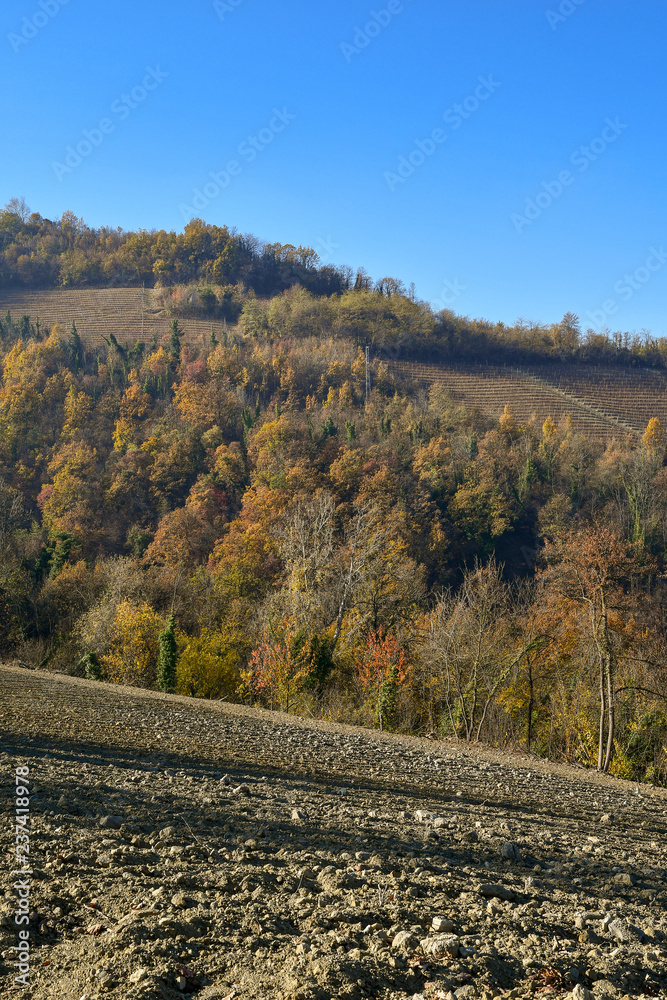 Plowed field on a hill with forest and vineyards in autumn, Langhe, Alba, Piedmont, Italy