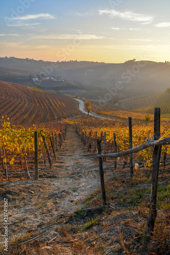 Vineyard hills of Barbaresco at sunset in autumn, Piedmont, Italy