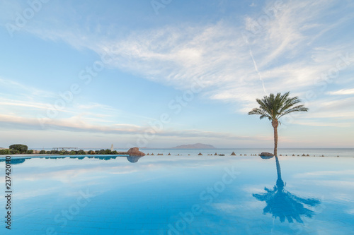 Fototapeta Naklejka Na Ścianę i Meble -  open pool on the shores of the exotic ocean and the reflection of palm trees in the water. summer landscape. panoramic picture