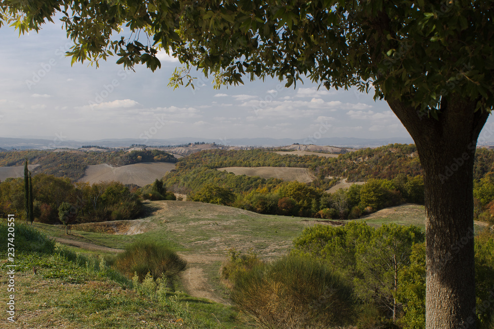 Fototapeta premium Countryside landscape. Countryside landscape with hills; typical landscape of central Italy