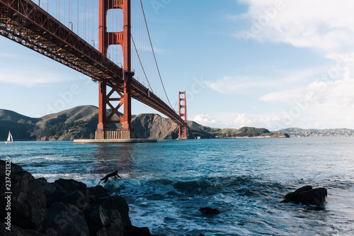 Surfer in the Golden Gate Bridge, California