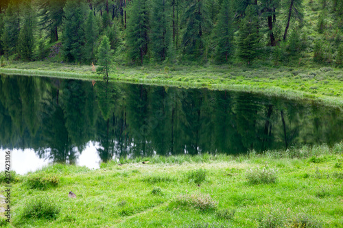Forest lake, wild landscape photo