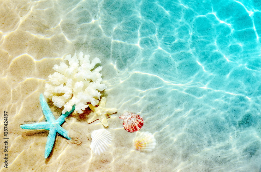 Starfish and seashell on the summer beach in sea water. Summer background. Summer  time. Stock Photo | Adobe Stock
