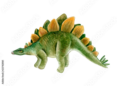 Stegosaurus dinosaur. Hand painted dinosaurs isolated on white background. Predator animal of the prehistoric period. Illustration. Watercolor. Template. Hand drawing. Clipart. Close-up