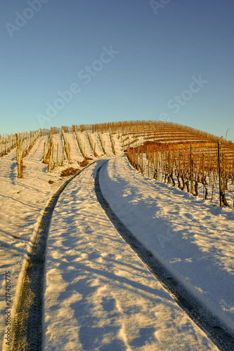 Sinuous road among snow covered vineyards with blue sky in winter, Barbaresco, Langhe, Piedmont, Italy