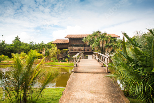 Botanical garden in brasilia, brazil