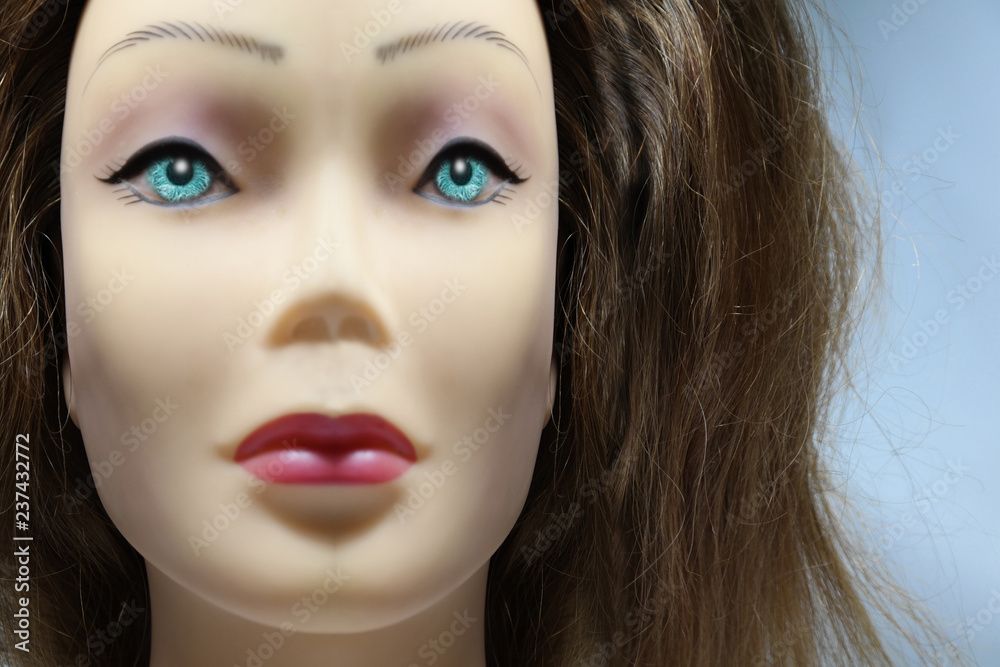 Donna robot Donna robot