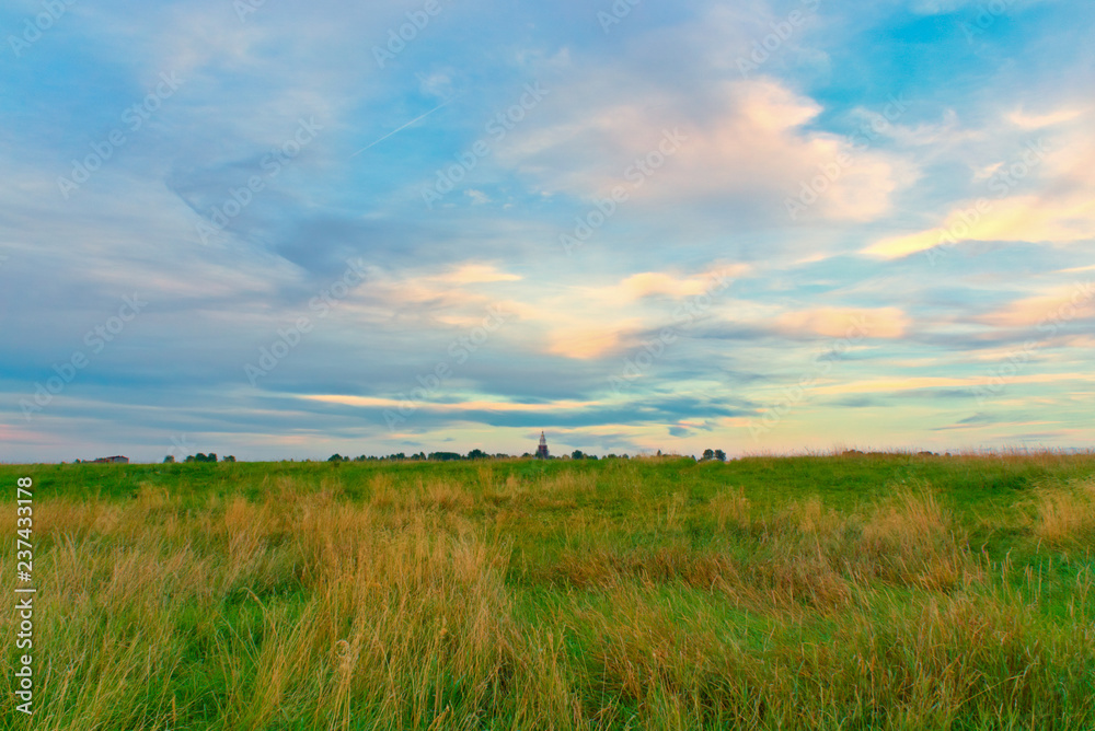 Summer landscape-field at sunset.