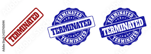 TERMINATED scratched stamp seals in red and blue colors. Vector TERMINATED overlays with grainy surface. Graphic elements are rounded rectangles, rosettes, circles and text tags.