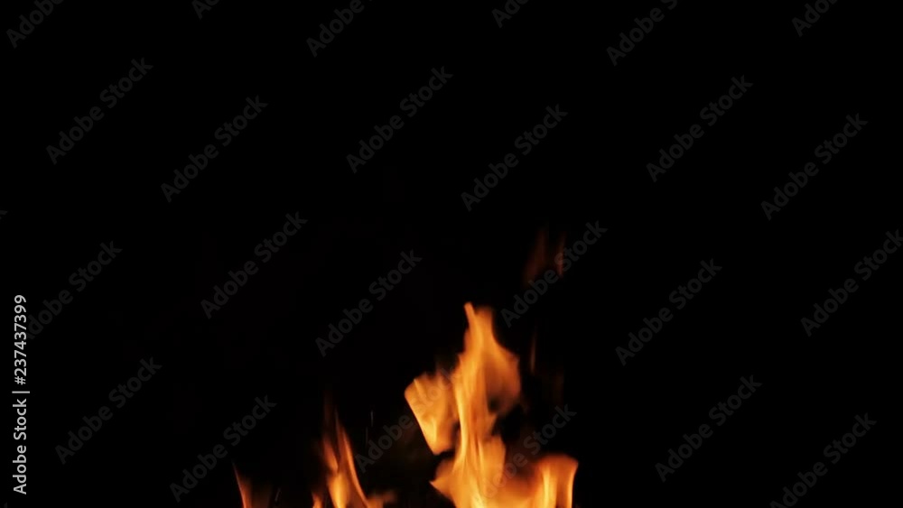 Real fire isolated on black background, loop video Real fire isolated on black background, loop video
