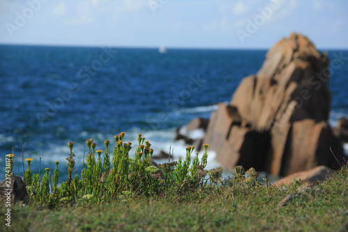 Pointe de Penhir photo