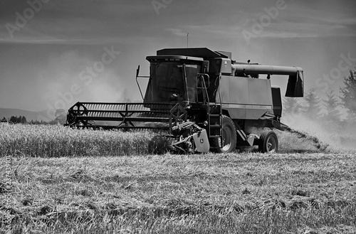 combine harvester working on wheat field © Gary
