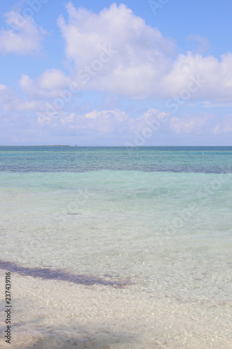 beach and sea  caribbean sea  paradise