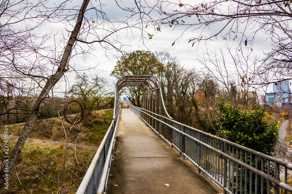 bridge in the forest