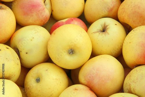 fresh yellow apples on the market