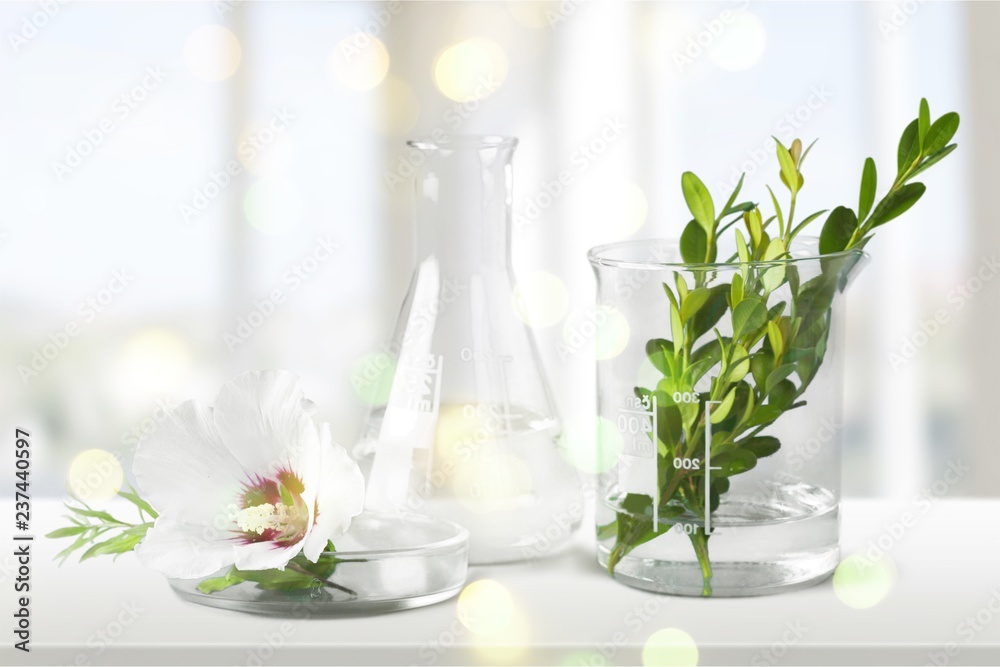 Cosmetic science holistic plant lab organic skin Cosmetic science holistic plant lab organic skin