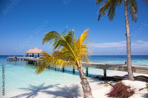 Fototapeta Naklejka Na Ścianę i Meble -  Beautiful beach and island in the Maldives